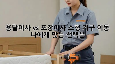 용달이사 vs 포장이사: 소형 가구 이동, 나에게 맞는 선택은?
