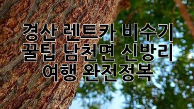 경산 렌트카 비수기 꿀팁🍯 남천면 신방리 여행 완전정복!